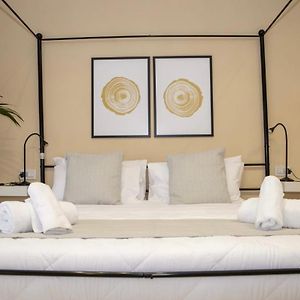 Suite Deluxe